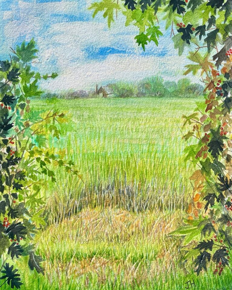 Yorkshire fieldscape viewed through green hedgerow leaves, flat farmland stretching to a distant farmhouse under a pale cloudy sky – watercolour by Joan Hudson