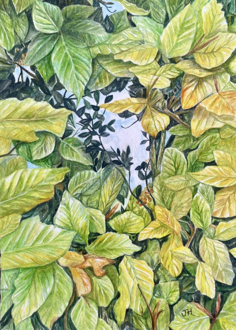 Looking up through dense green and yellow-green garden foliage with a glimpse of blue sky through a gap in the leaves – original artwork by Joan Hudson, Yorkshire artist