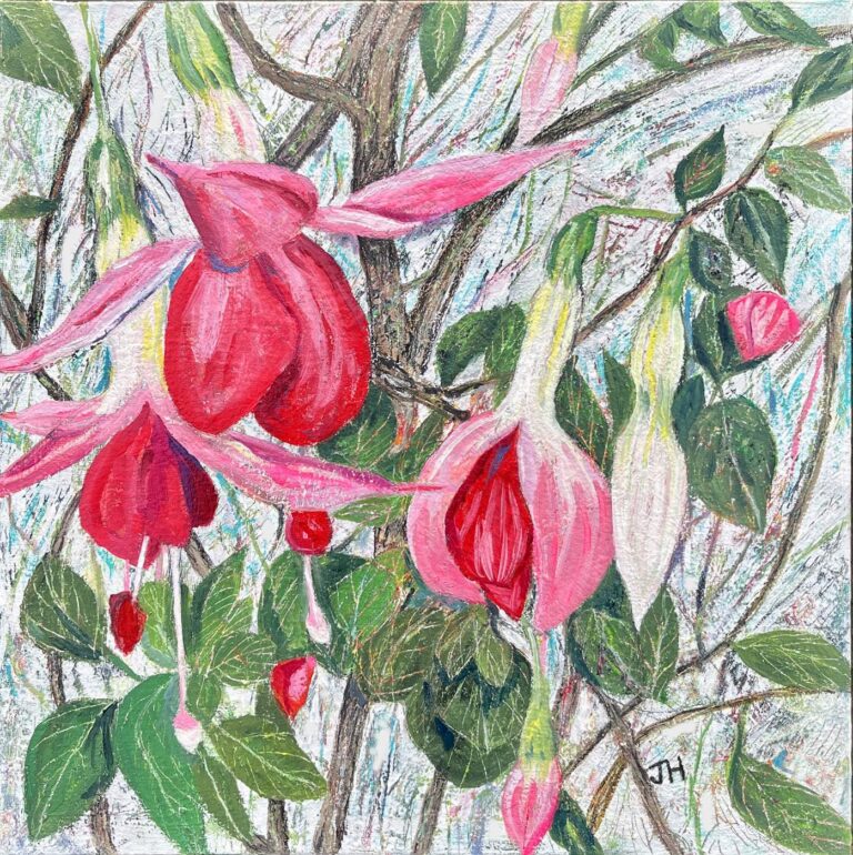 Close-up of vivid hanging fuchsia blooms in deep pink and red with cream and white tubes, dangling from woody branches with green leaves – oil painting by Joan Hudson